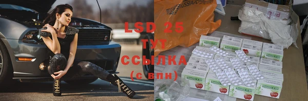 стаф Алзамай