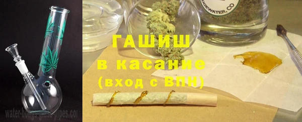 стаф Алзамай