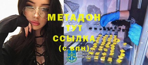 стаф Алзамай