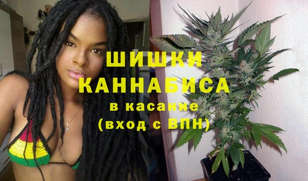 стаф Алзамай