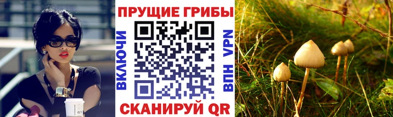 Галлюциногенные грибы мухоморы наркотики omg как войти Тихвин